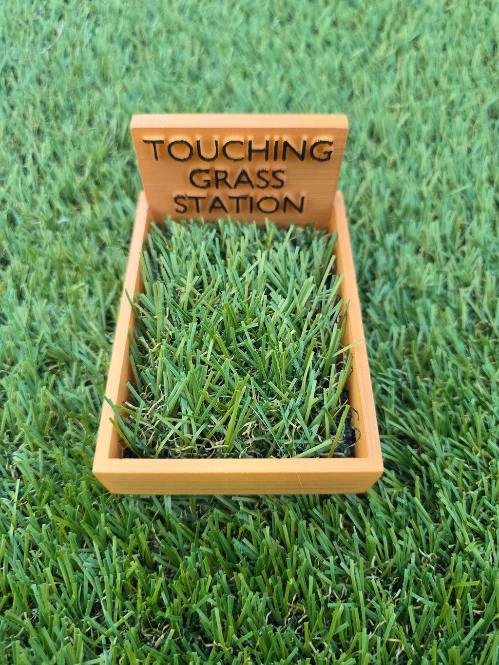 Touching Grass Station - Wooden Display with Green Grass for Decorative Use