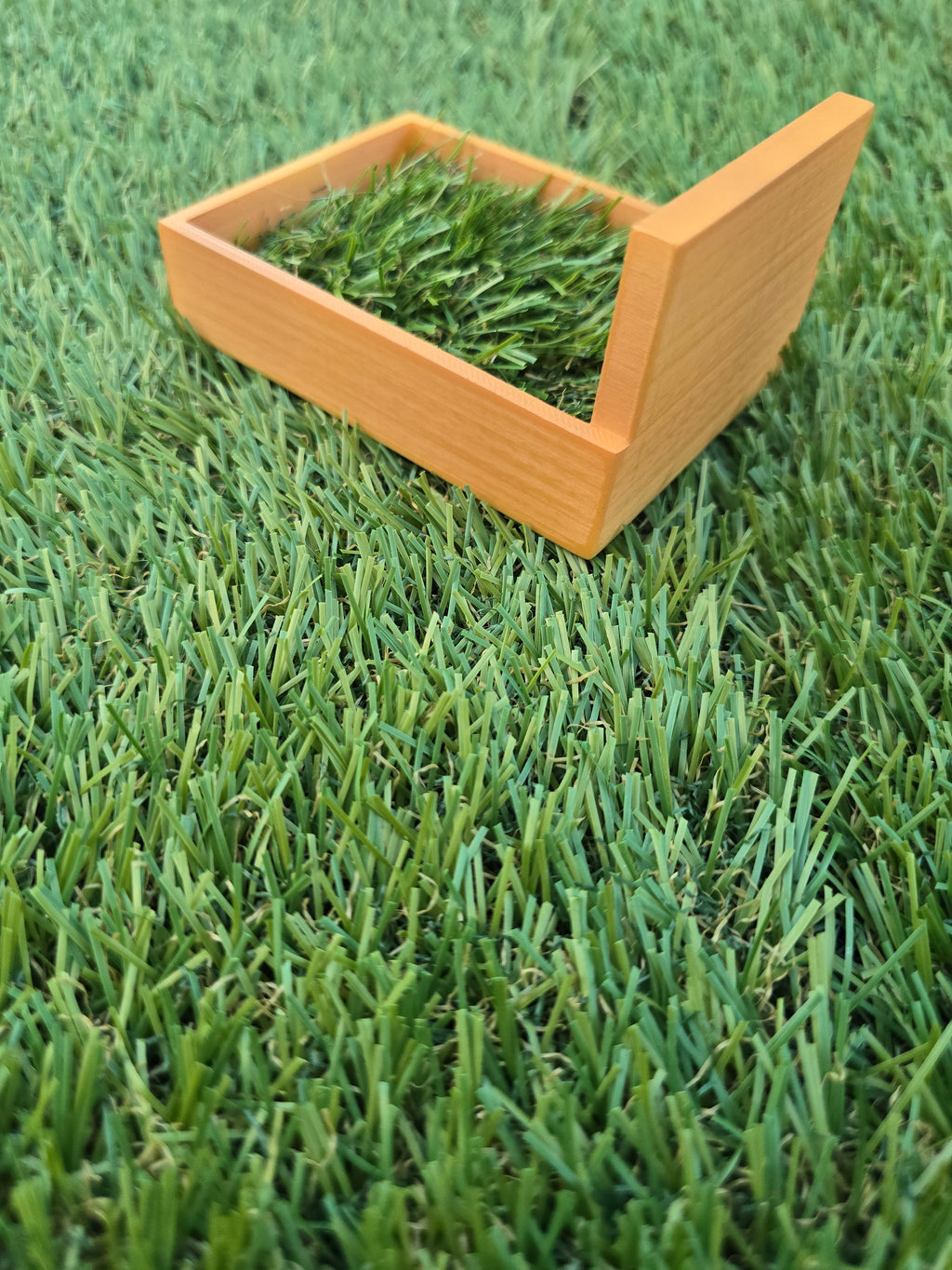 Touching Grass Station - Wooden Display with Green Grass for Decorative Use